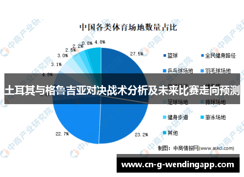 土耳其与格鲁吉亚对决战术分析及未来比赛走向预测