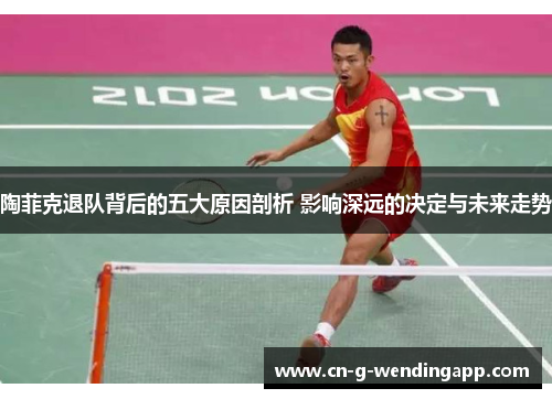 陶菲克退队背后的五大原因剖析 影响深远的决定与未来走势