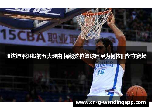 哈达迪不退役的五大理由 揭秘这位篮球巨星为何依旧坚守赛场