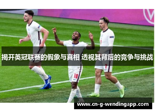 揭开英冠联赛的假象与真相 透视其背后的竞争与挑战