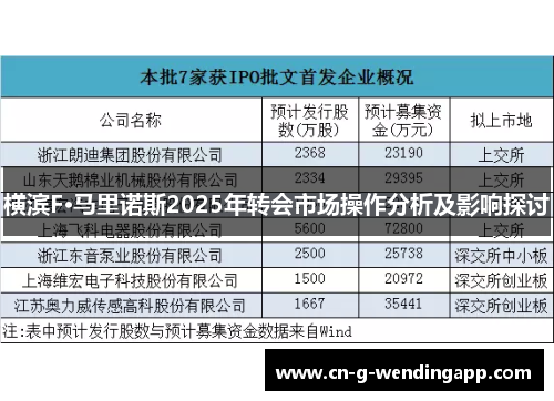 横滨F·马里诺斯2025年转会市场操作分析及影响探讨