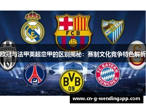 欧冠与法甲英超意甲的区别揭秘：赛制文化竞争特色解析