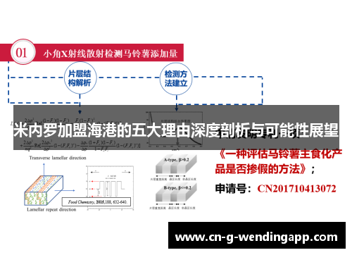 米内罗加盟海港的五大理由深度剖析与可能性展望 米内罗加盟海港的五大理由深度剖析与可能性展望