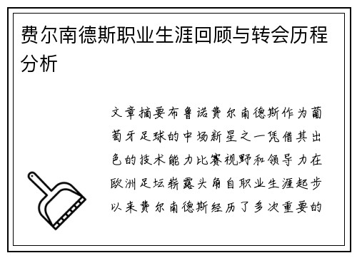 费尔南德斯职业生涯回顾与转会历程分析
