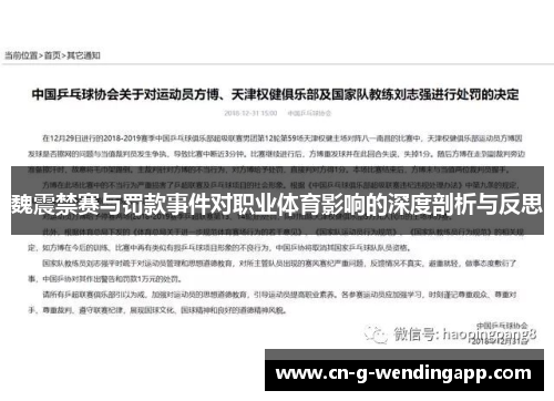 魏震禁赛与罚款事件对职业体育影响的深度剖析与反思