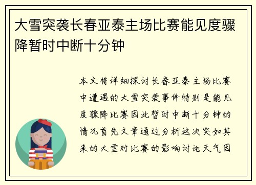 大雪突袭长春亚泰主场比赛能见度骤降暂时中断十分钟